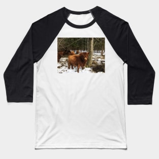 Scottish Highland Cattle Calf 1960 Baseball T-Shirt